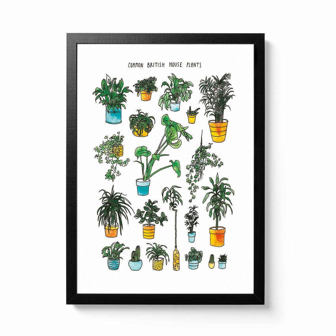 british house plants Common British House Plants Art Print – National Park Print Shop