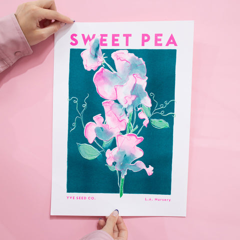 Sweet Pea · Riso Print