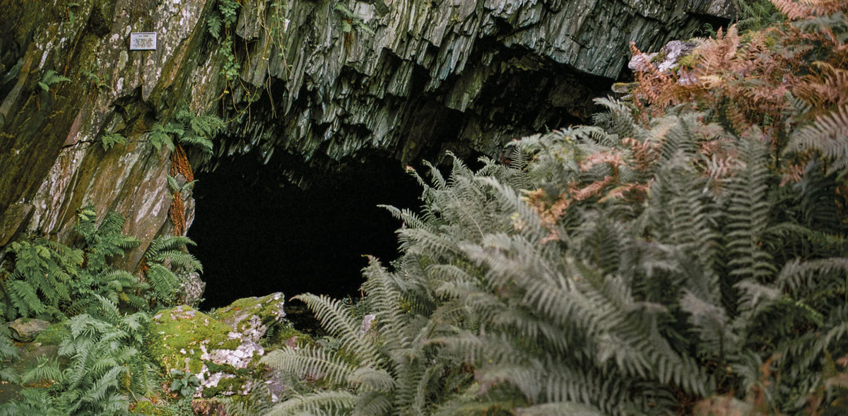 This Way Maps & Zines – National Park Print Shop