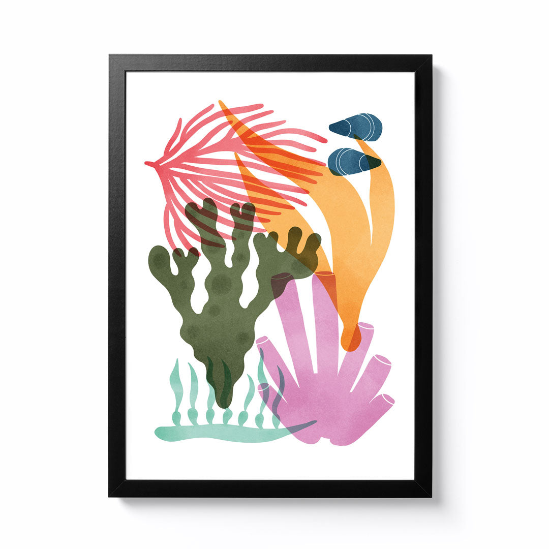 Seaweed – National Park Print Shop