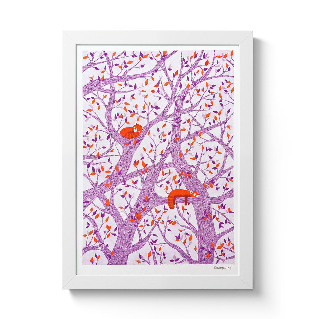 Snoozing Red Pandas · Riso Print